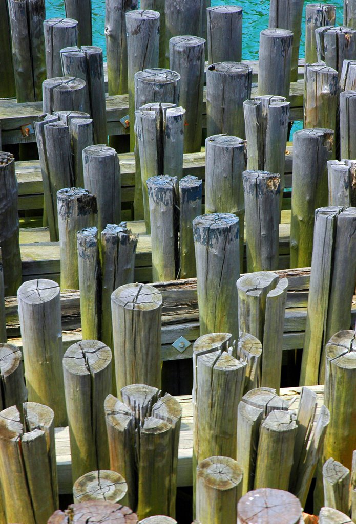 Staten Island Ferry Dock by Lui Brandt