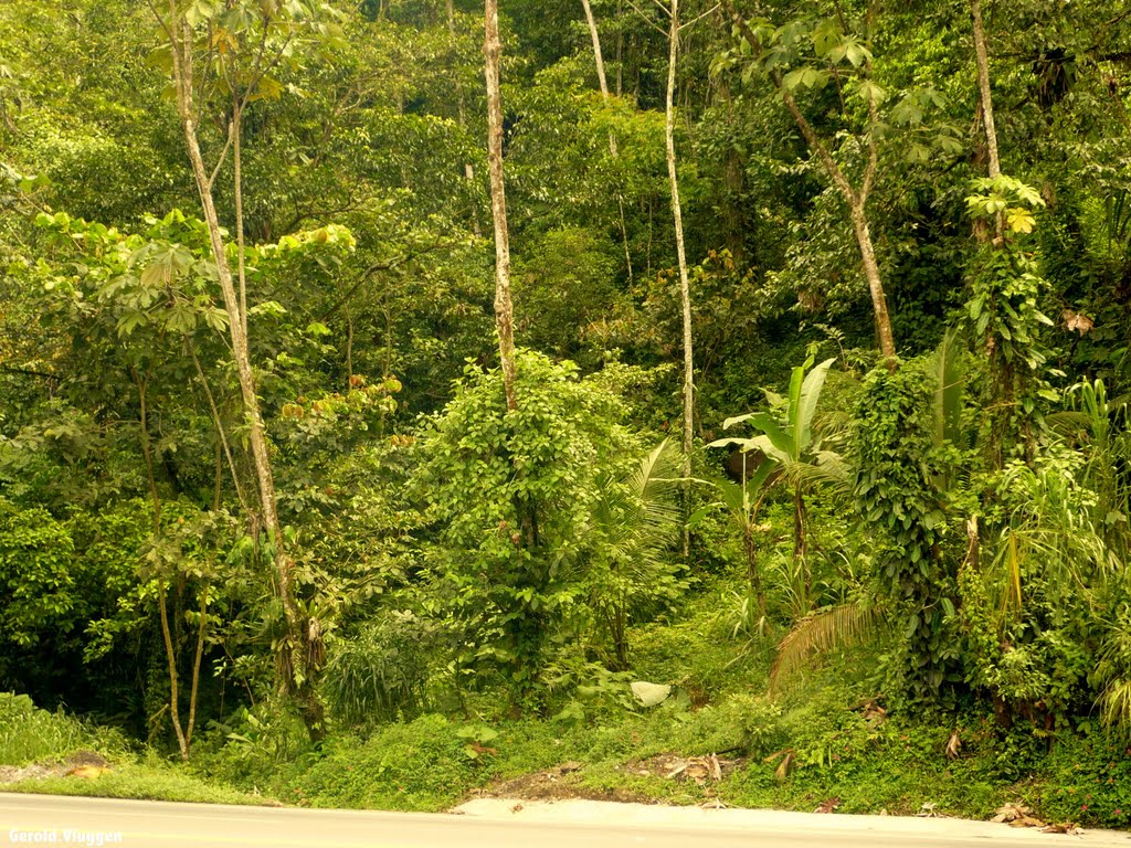 Costa Rica Playa Buena Vista. 8 Juli 2008 by Gerold Vluggen