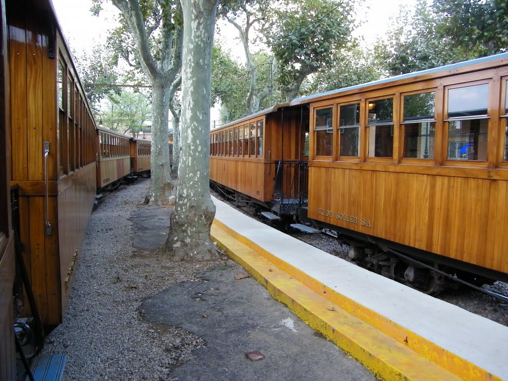 Tren de Soller by Guillermo B