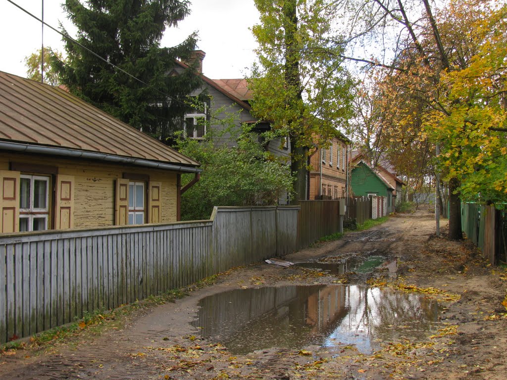 Zemkopju iela. Rīga, Latvija by Indra Dišteina