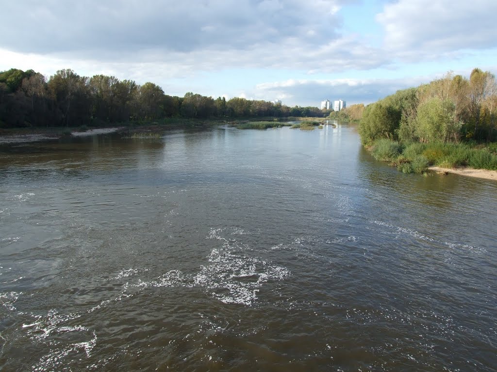 Alte Elbe in Magdeburg by Stephan Meisel