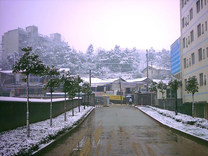 中南林业科技大学后门 central south university of forestry and technology back entrance by 登科