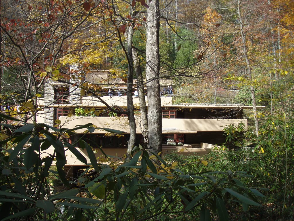 Wonderful fallingwater by AlkhacibDjenidi