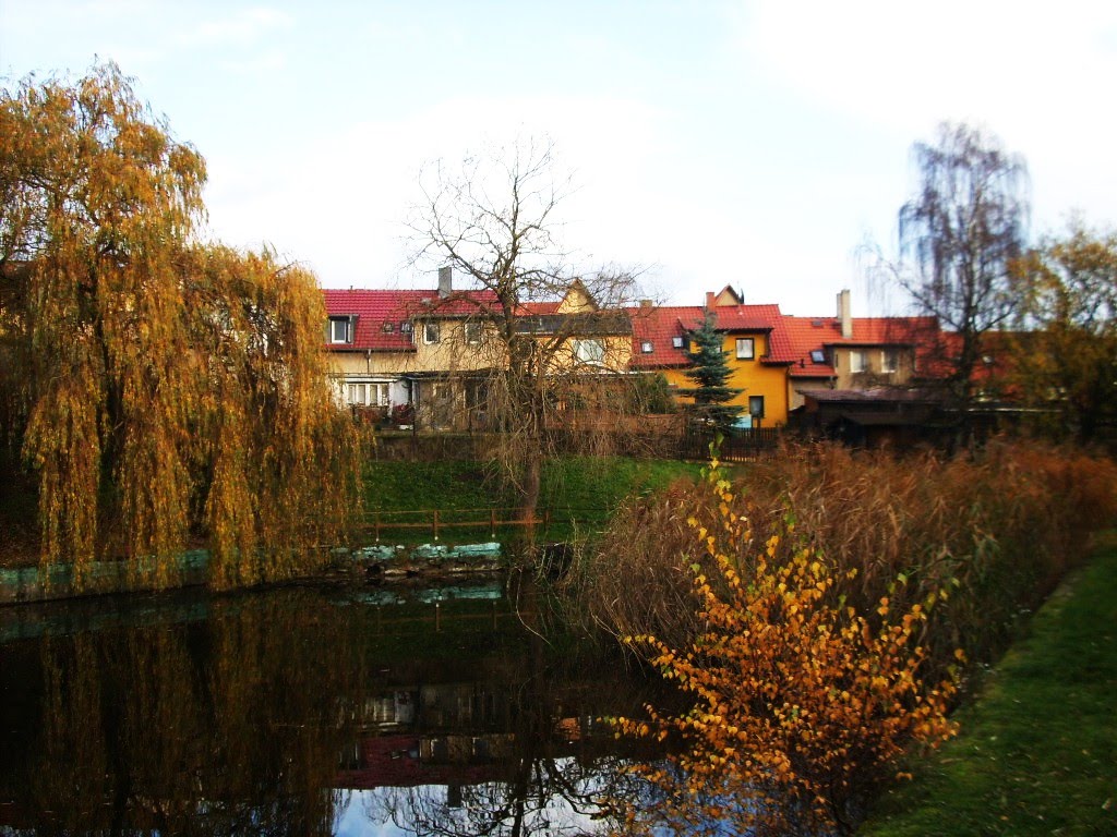 Zellerbad, 2010 by Jörg Hofmann