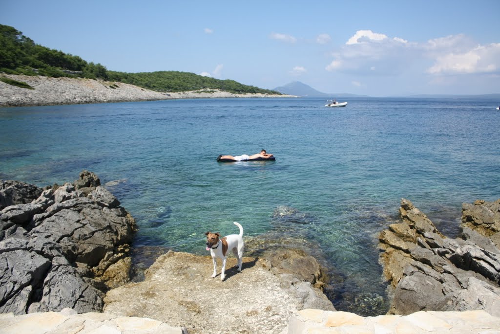 Beach near Mali Losinj by scale