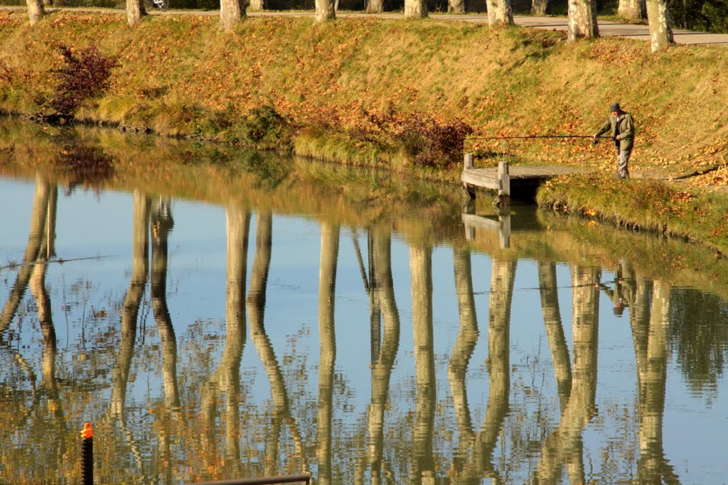 Canal du Midi à Ayguesvives (Hte Garonne) by Roger31600