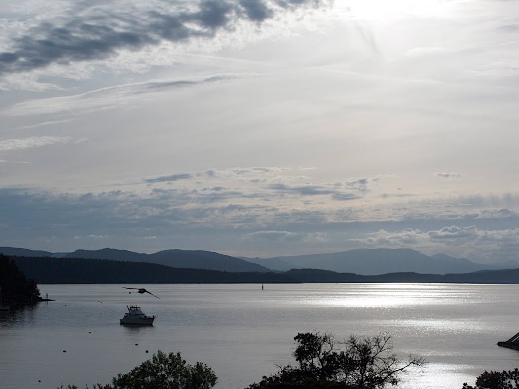 Village Bay, Mayne Island by Alison Rintoul