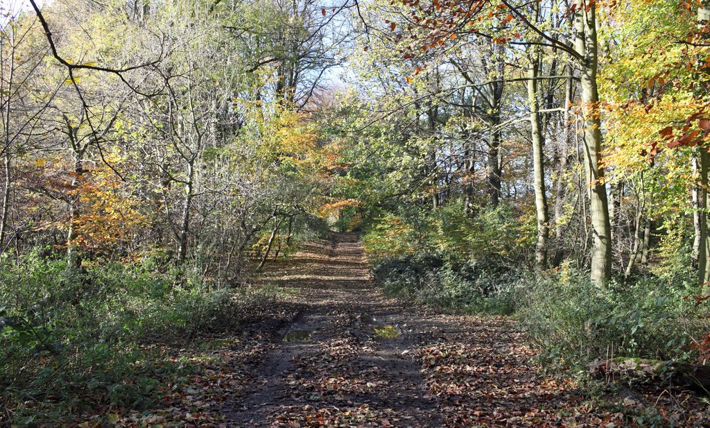 Heaton Park by bobshut