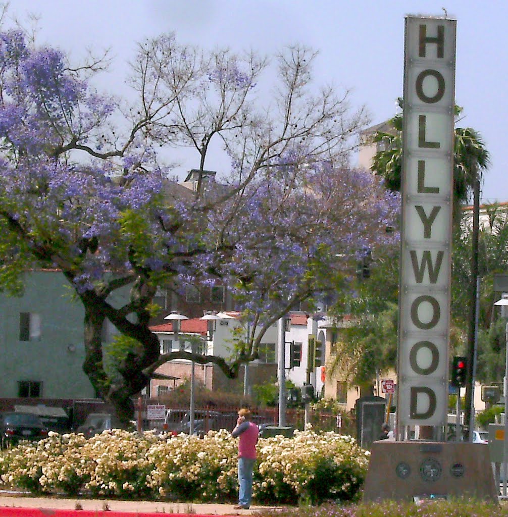 Hollywood "Sign" by swissfan