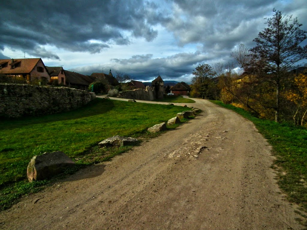 Bergheim, France by Andrew