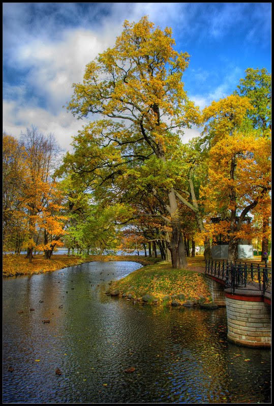 Санкт-Петербург. Лопухинский сад. Осень 2010. by Gleb Drapkin