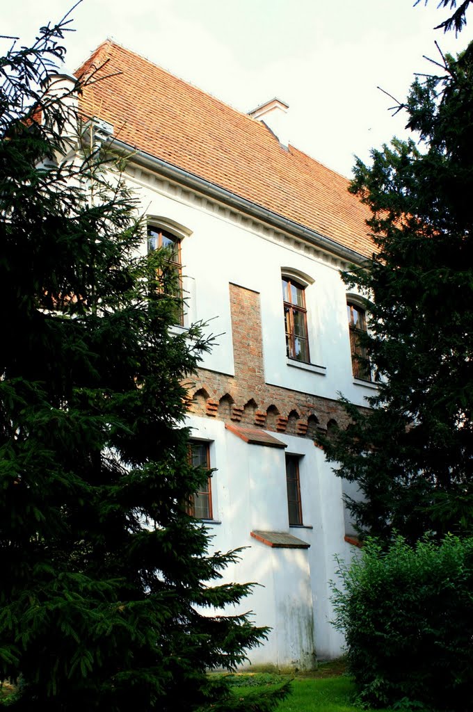 Szamotuły The Castle by JanKulczak