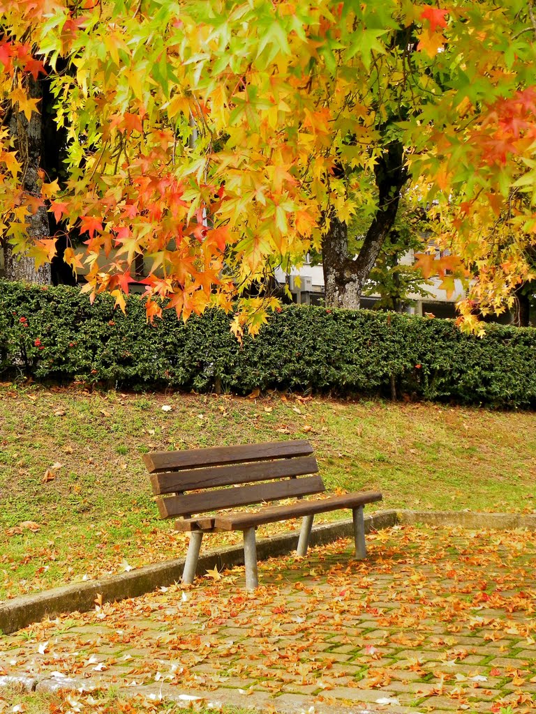 Autunno a Chianciano Terme (16-10-10) by Renato Pantini