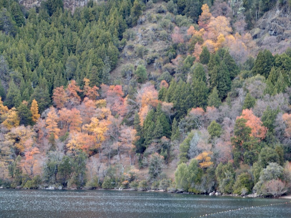 San Martin de los Andes, Lago Lacar by Felipe O Diniello