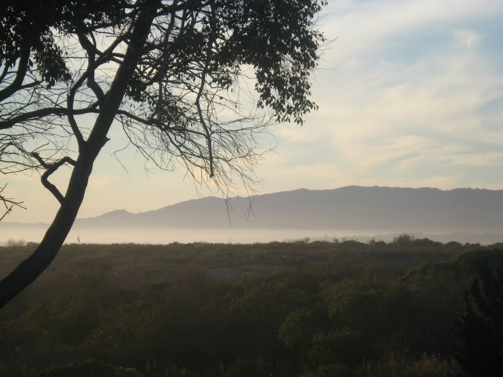 Foggy sunset by M.Tijssen