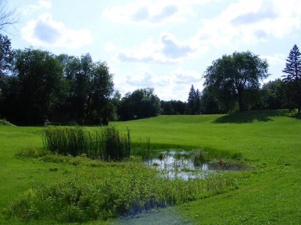 Parc Maisonneuve, Montréal by pastantqueca