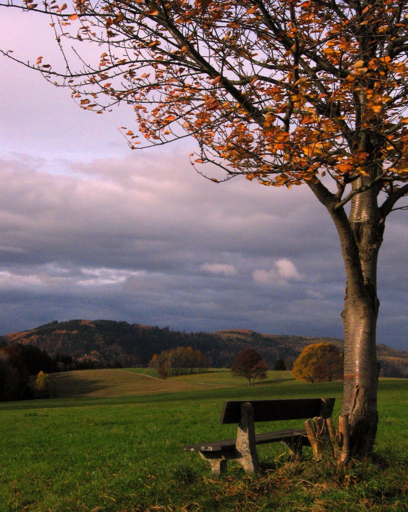 My stormy autumn bench by beegood