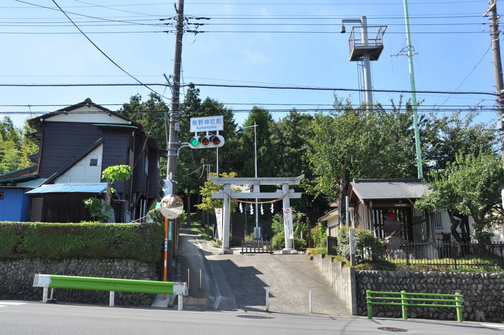 Kumano-Jinja 熊野神社 (2010.09.17) by k.takita