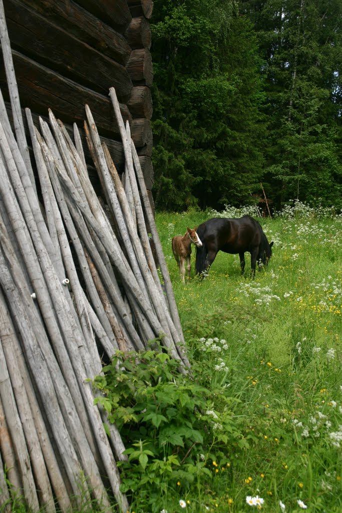 Fence poles by rimas