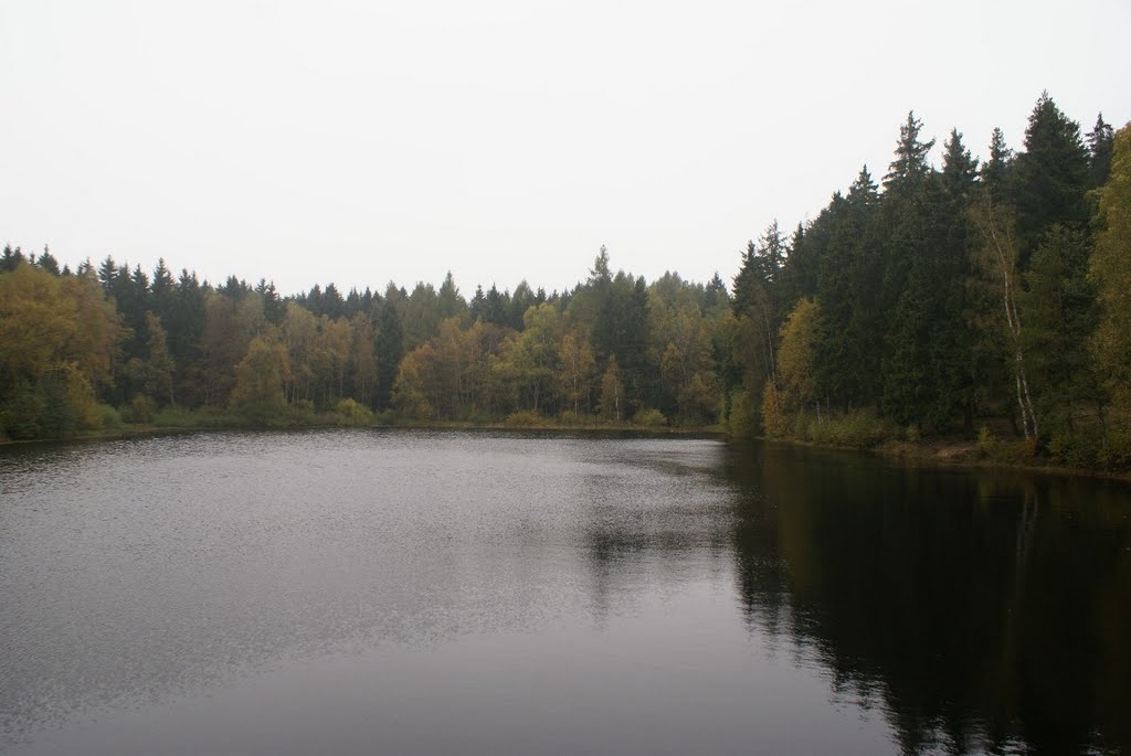 Bergrat-Müller-Teich (Harz) by Atheistin