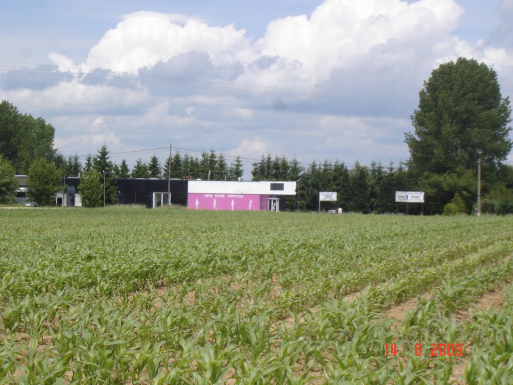 Maïze Parcel near Arlon, Luxembourg road by djaby