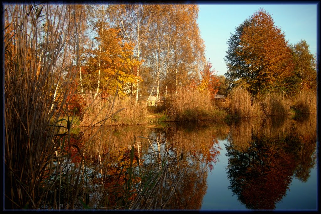 WATER REFLECTIONS by dana ciszewska