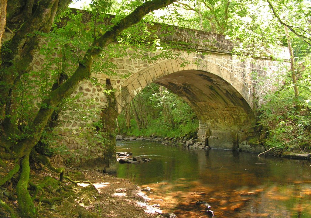 Pont sur la Cure by airlibre