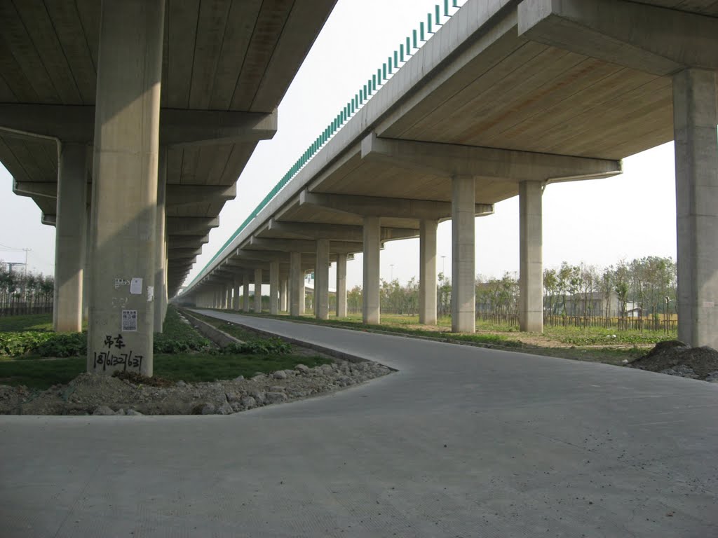 申嘉湖高速华长公路/S32 EXPWY & Huachang Rd. by ryanzzq