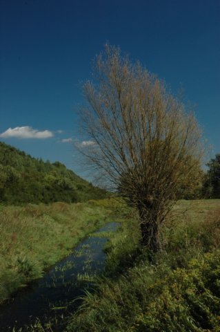 Janowiec by Kuba Jawień