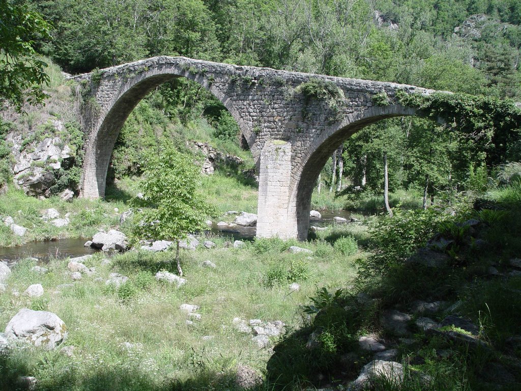 Chalencon : le pont du Diable by berthi2