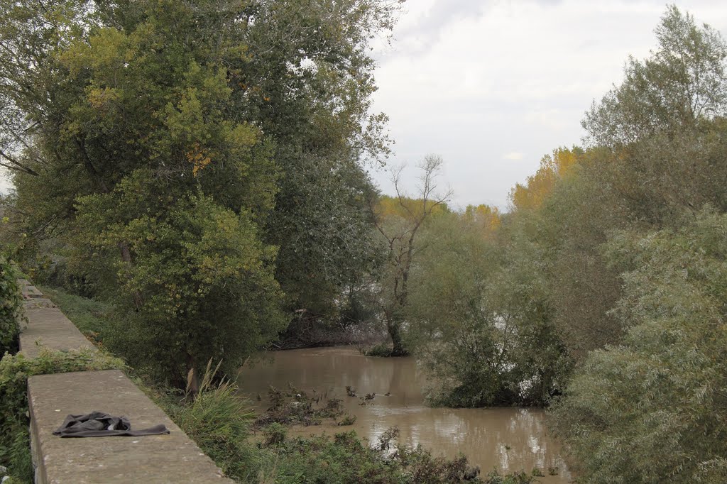 Fiume Volturno in piena - Capua by Pietro Ricciardi