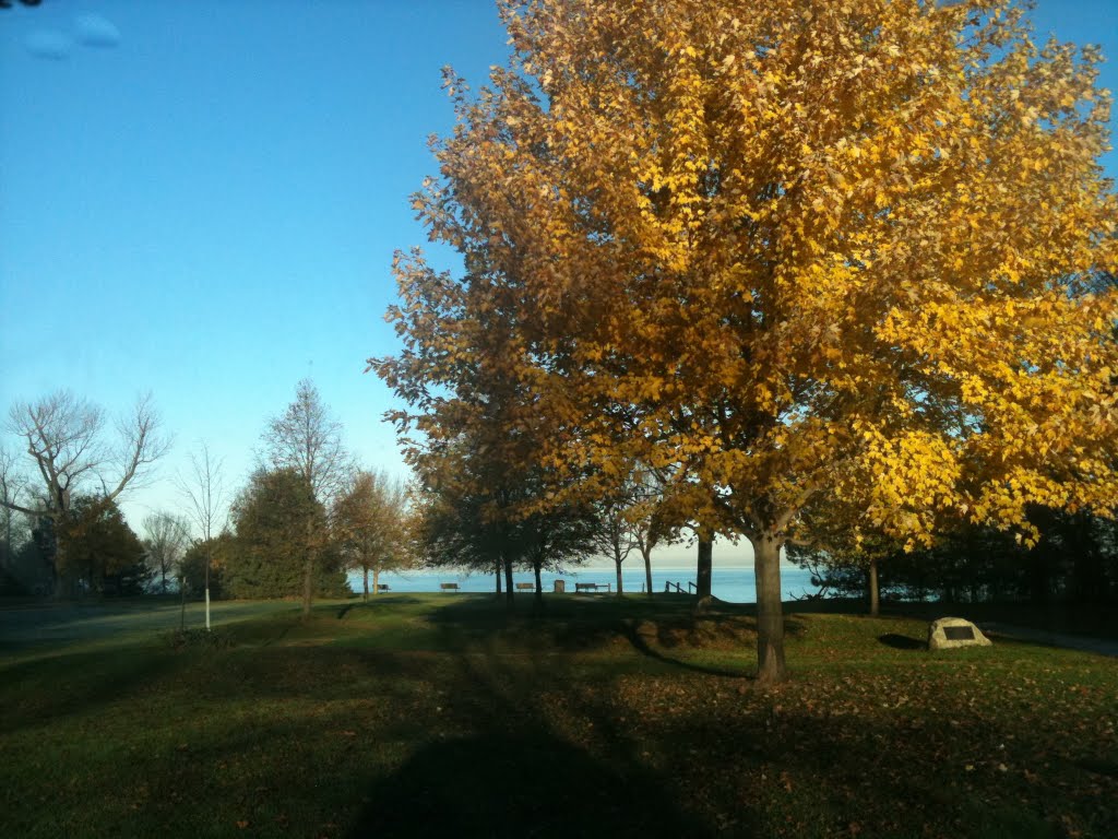 Lake Erie 8am, Nov., 2010 by Iorio