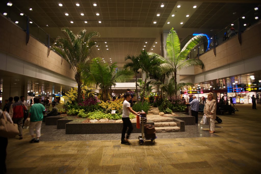 Singapore Int'l Changi Airport Airport Building 星加坡機場內 by Cheuk