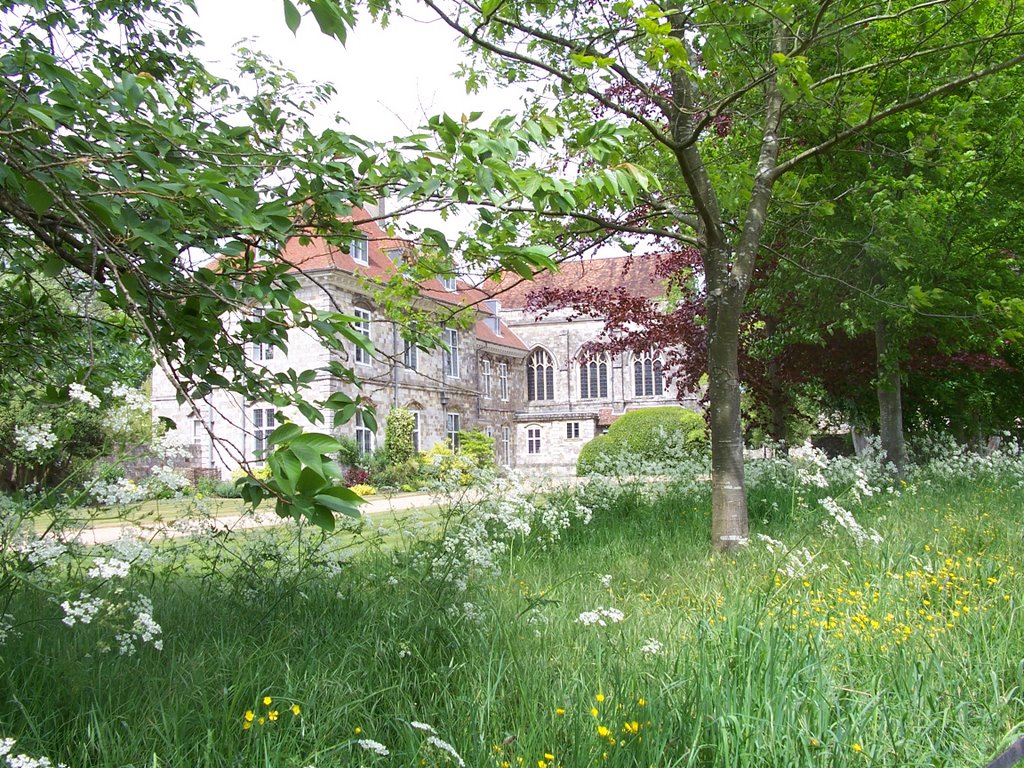 Winchester, View at Bishop's Palace by dsthy