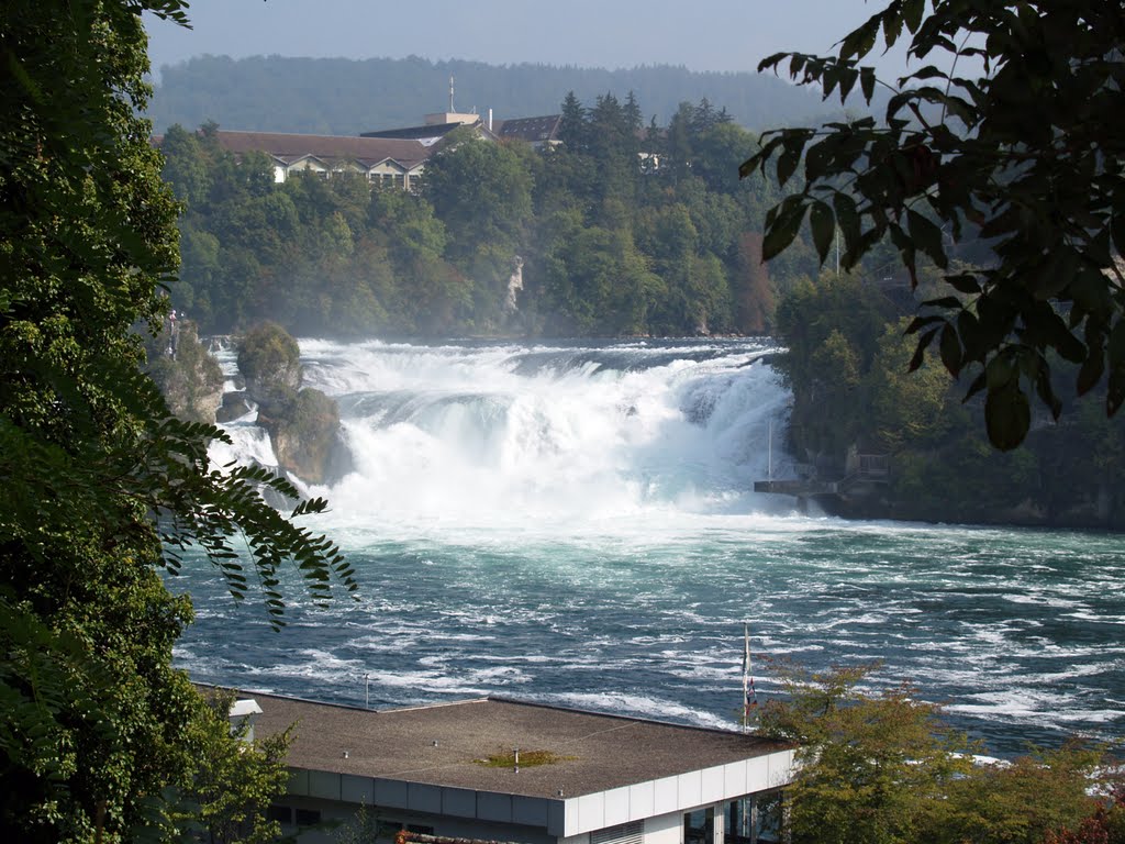 Rheinfall by Dreher Stein