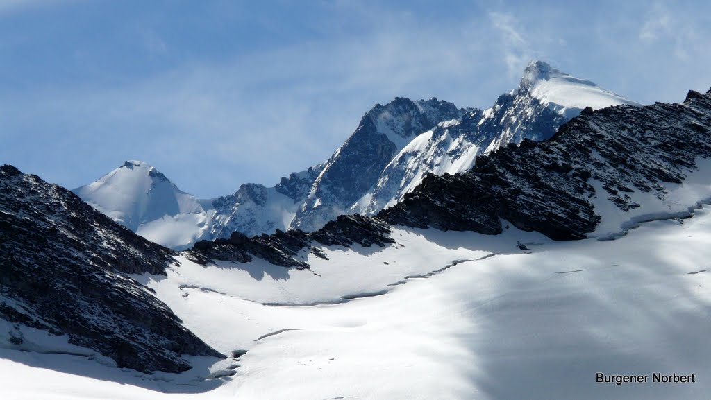 Zumsteinspitze / Dufourspitze / Nordend ( Monte Rosa ) by Burgener  Norbert