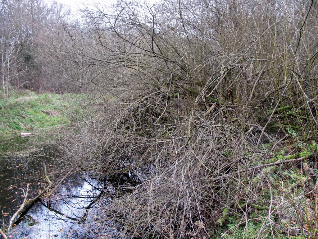 Irtenberger Wald (Nähe A3-Ausfahrt Helmstadt) by lebola