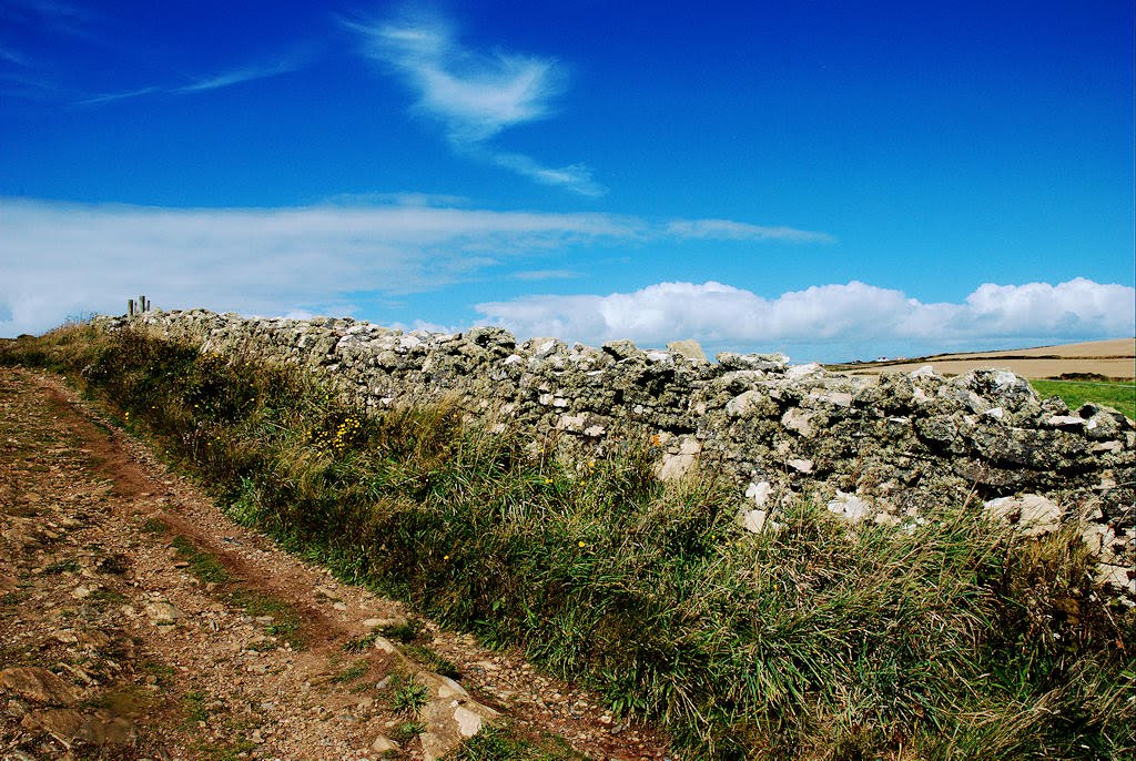 The wall by Stefano Toselli