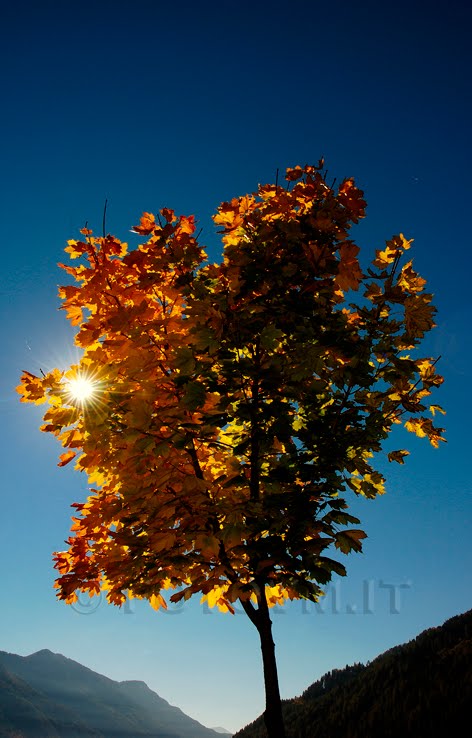 Autunno... by Mirco Viviani FOTOVM