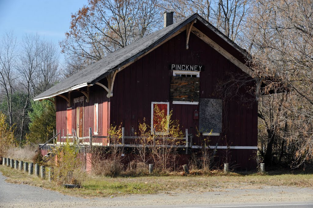 Pinckney Depot by chrisf66