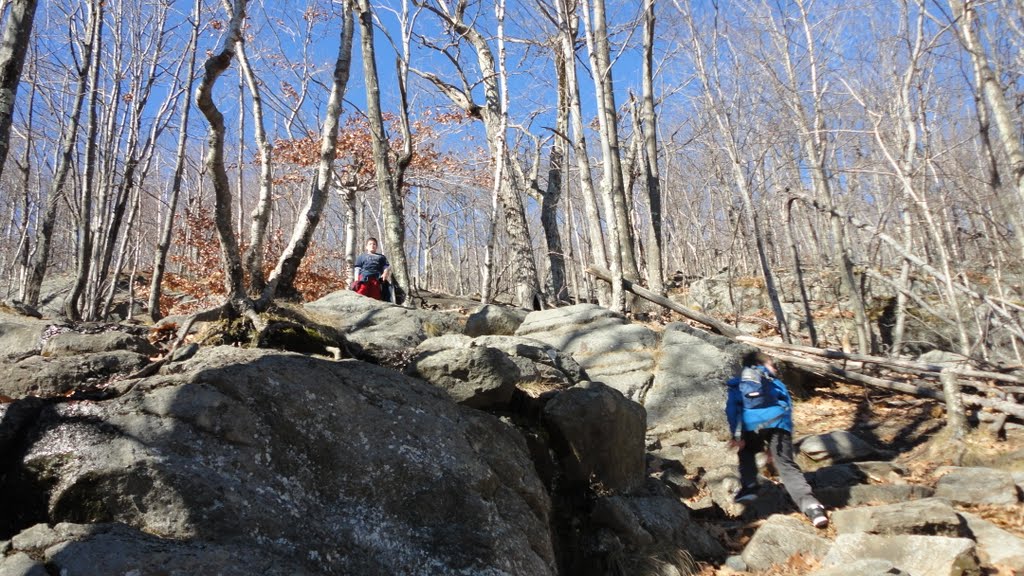 Mt. Monadnock, White Dot Trail by jimgoss