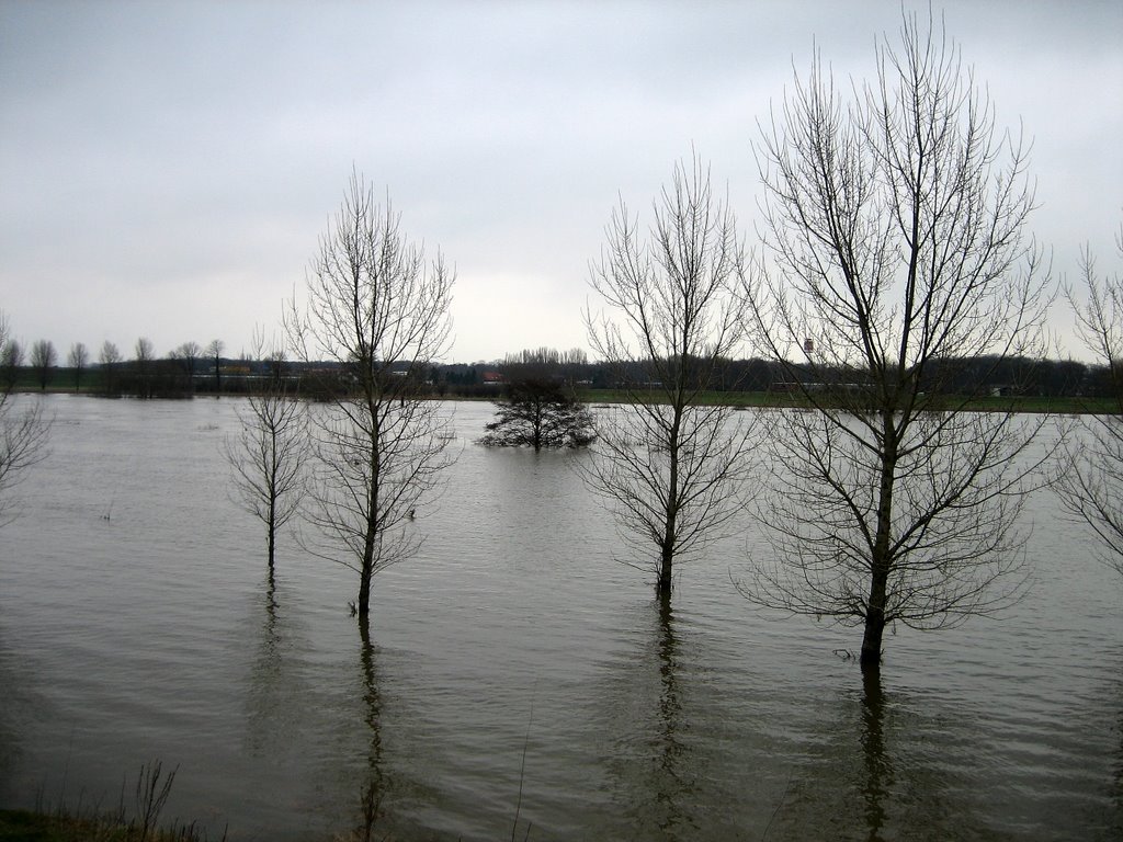 Hoog water jan. 2007 by Wim Janssen