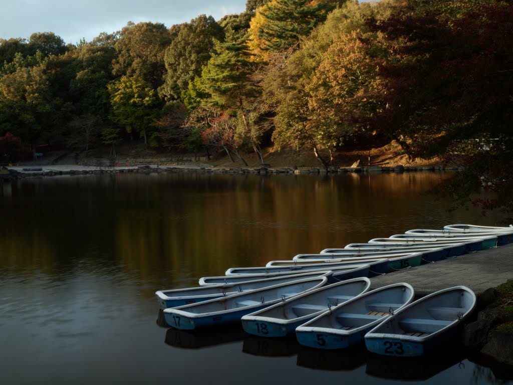 奈良公園　Nara park by Kouichi Tsurusaki