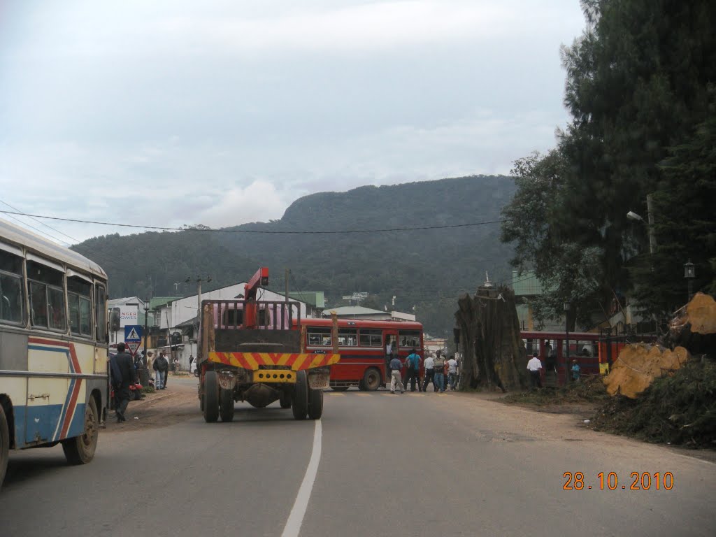 Nuwaraeliya by Saman Jayawardene