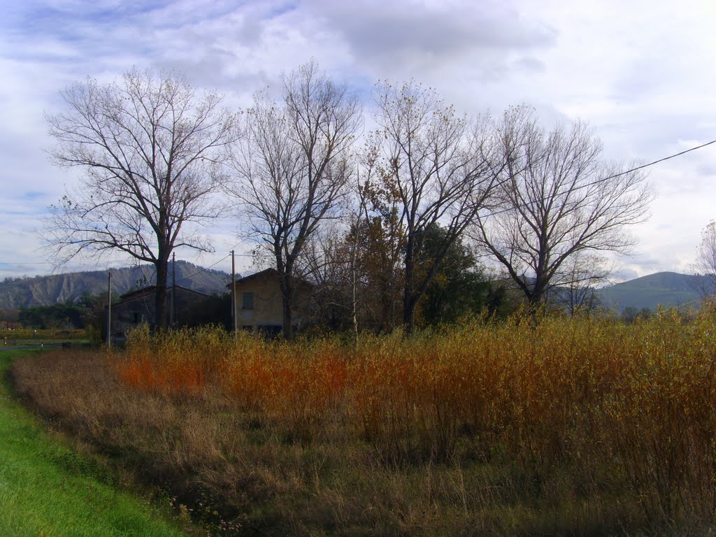 Tra Riolo Terme e Villa Vezzano (Ra) - Colori di Novembre (12/11/2010) by esse est reminisci (SAVE PANORAMIO)