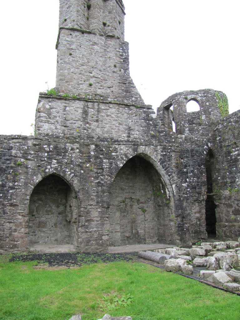 Boyle Abbey by jhwells