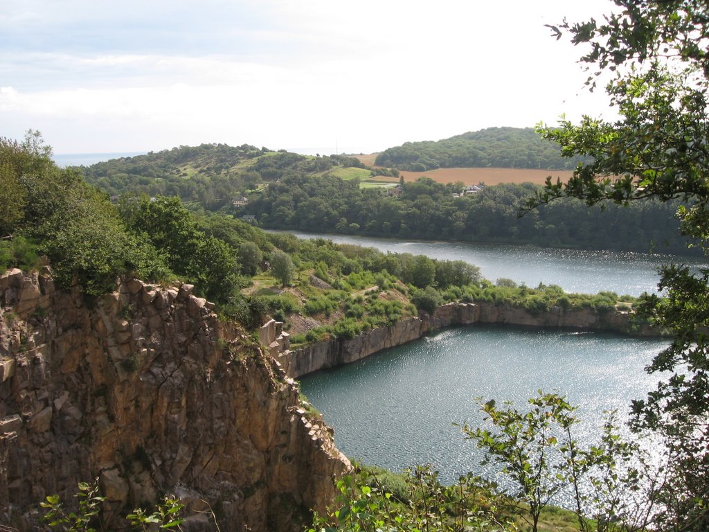 Blick über den Hammersee (im Vordergrund der Opalsee) by vogelzuechter