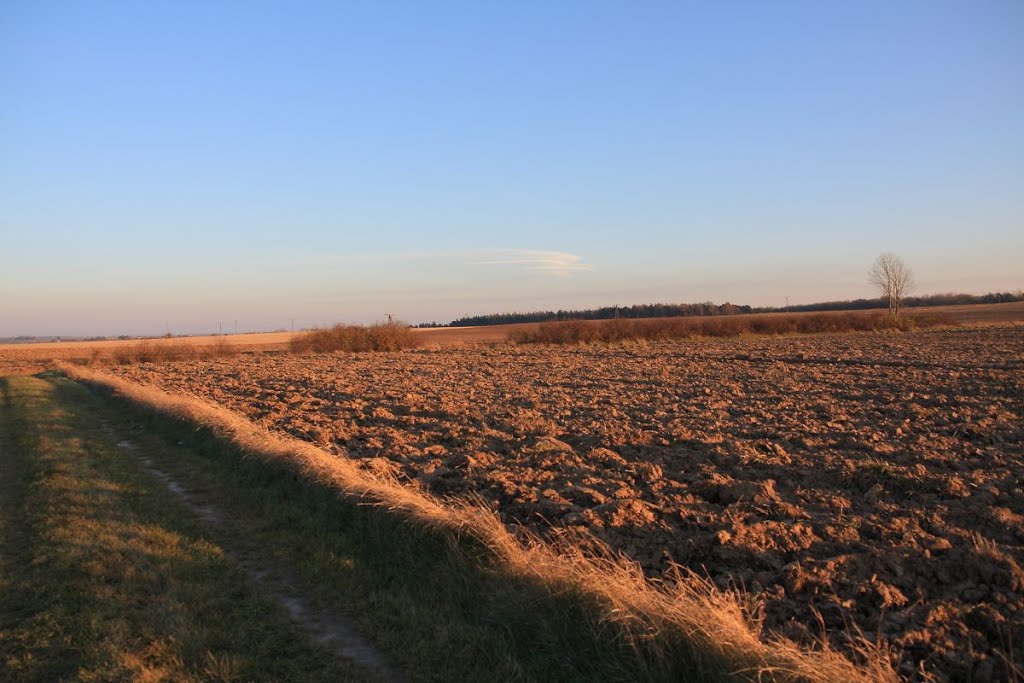 Fields south from Bodzechów in sunset by Lech J