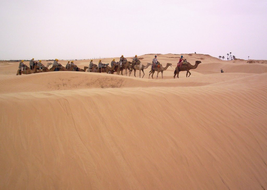 Camels Caravan by Rudra1976