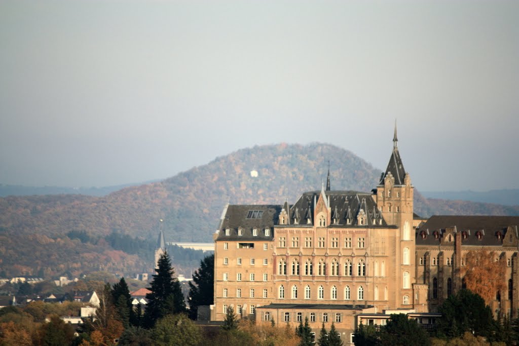 Ahrtal mit Blick auf Kalvarienberg 5 im Hintergrund die Landskrone bei Heppingen Herbst 2010 by Michael W.